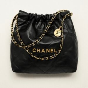 no.30—chanel 22 bag