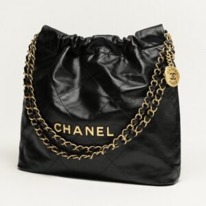 no.30—chanel 22 bag