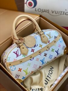 NO.8—Louis Vuitton Handbag EAST WEST 8