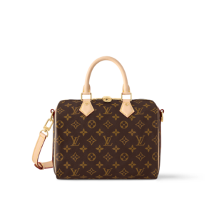 no.63 —louis vuitton speedy 25