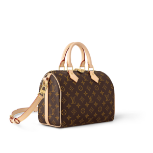 no.63 —louis vuitton speedy 25
